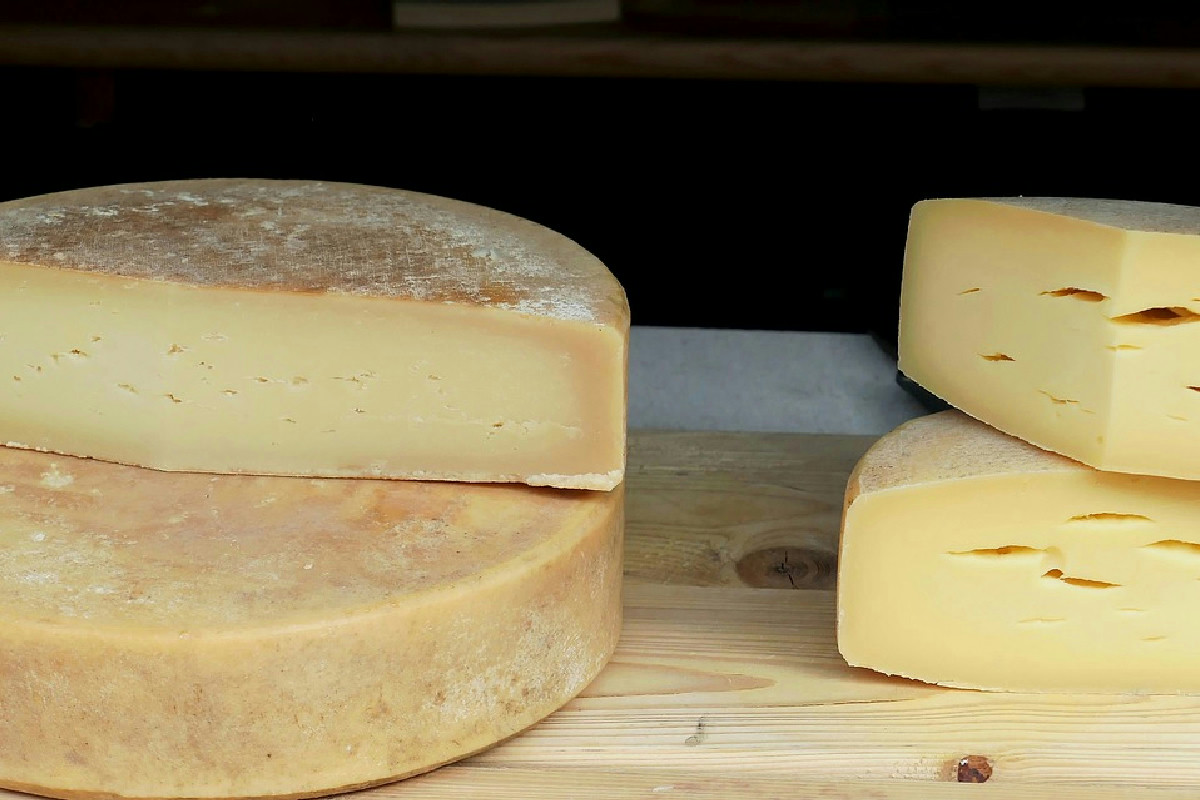 Il formaggio a latte intero può contribuire a proteggere la mente: evidenze da uno studio recente